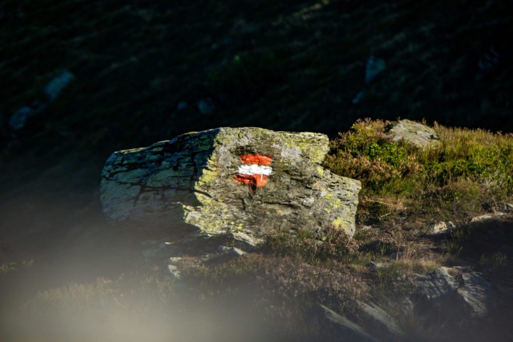 Österreich Flagge auf Stein, Foto: Thomas Galler, Unsplash.com